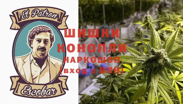 ГАЛЛЮЦИНОГЕННЫЕ ГРИБЫ Дмитров