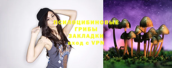 а пвп мука Ельня